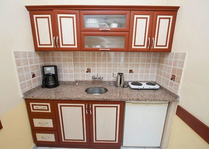 Lavinia & Apart Otel 3*